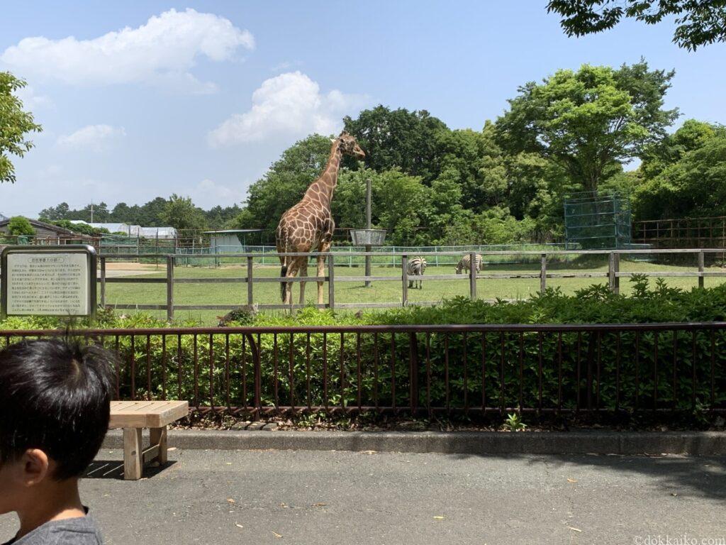 浜松市動物園