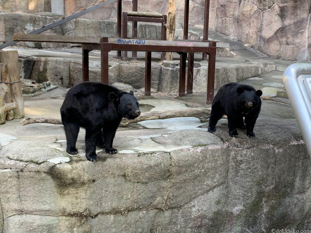 浜松市動物園