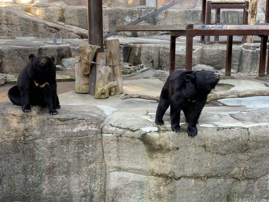 浜松市動物園