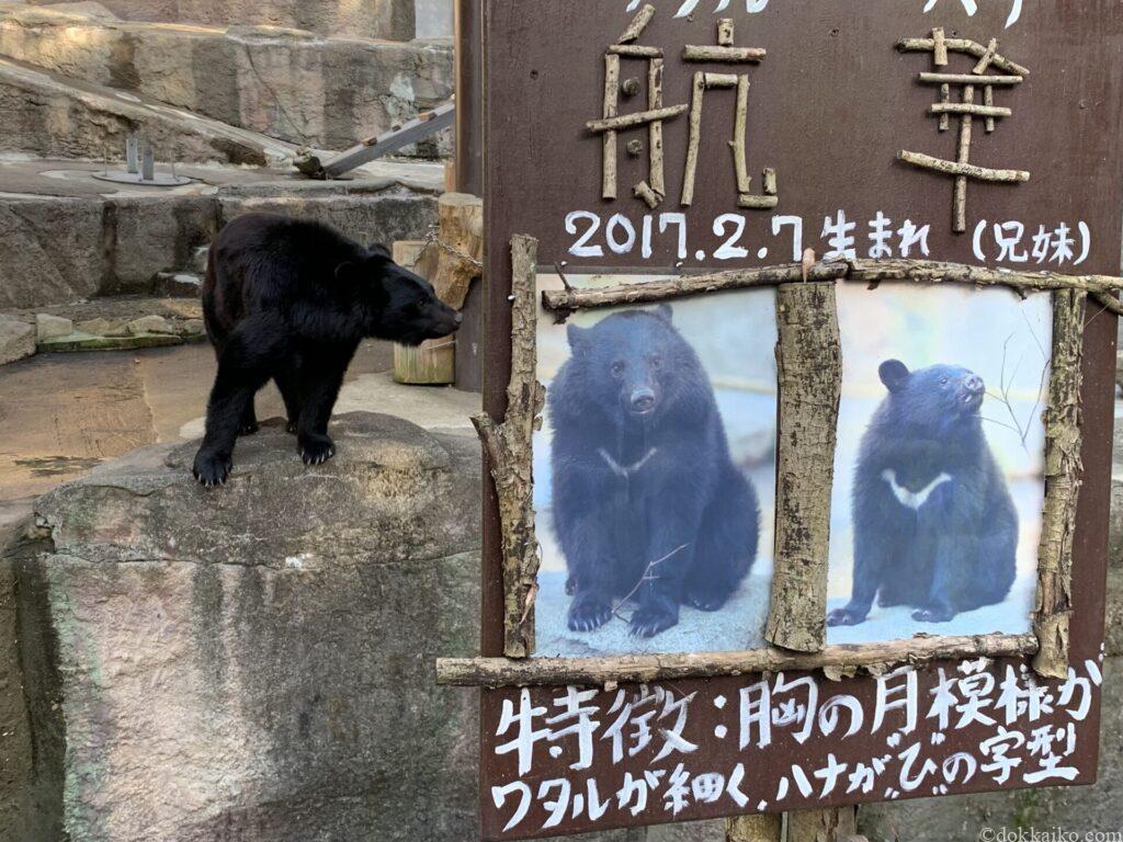 浜松市動物園