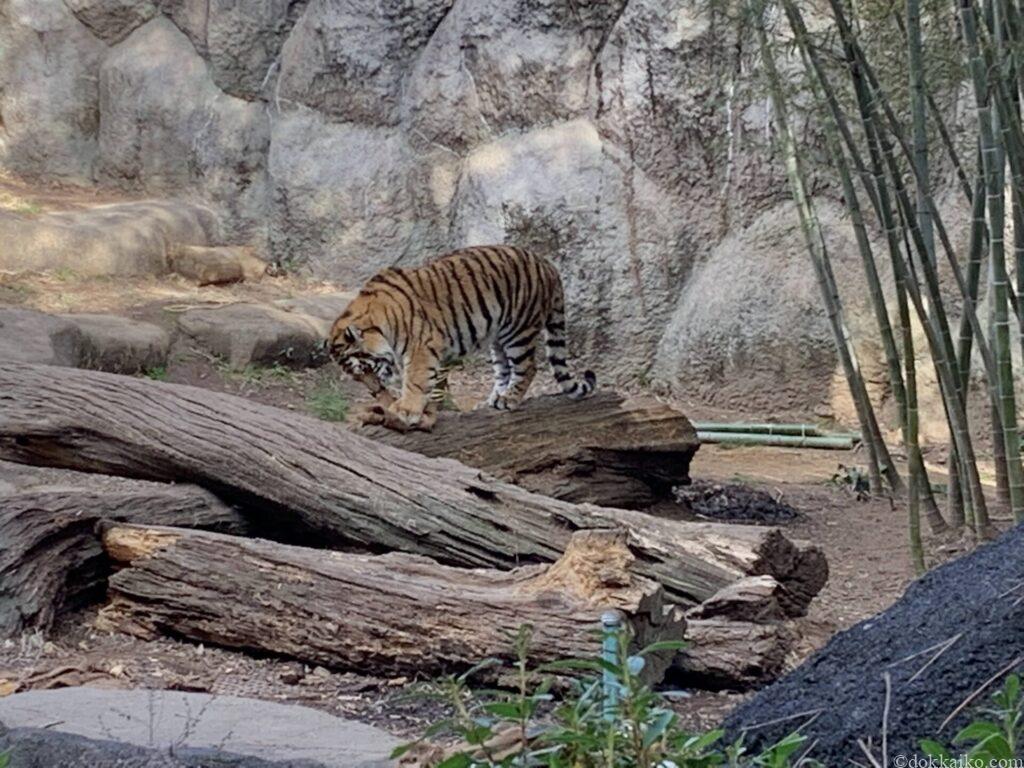 浜松市動物園