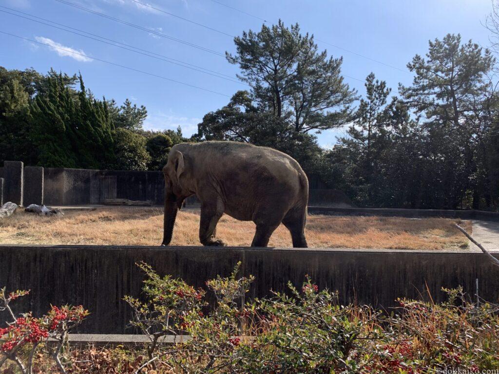 浜松市動物園