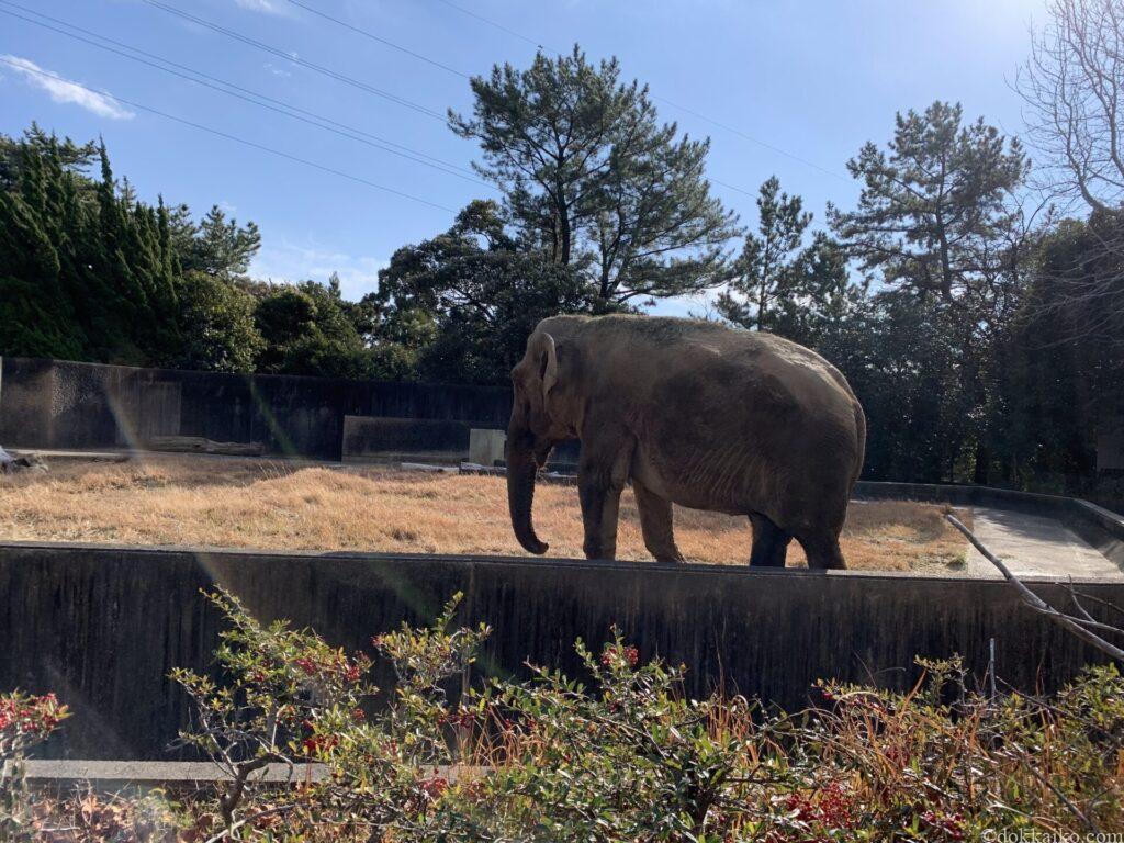浜松市動物園