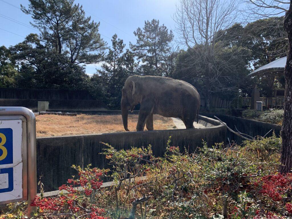 浜松市動物園