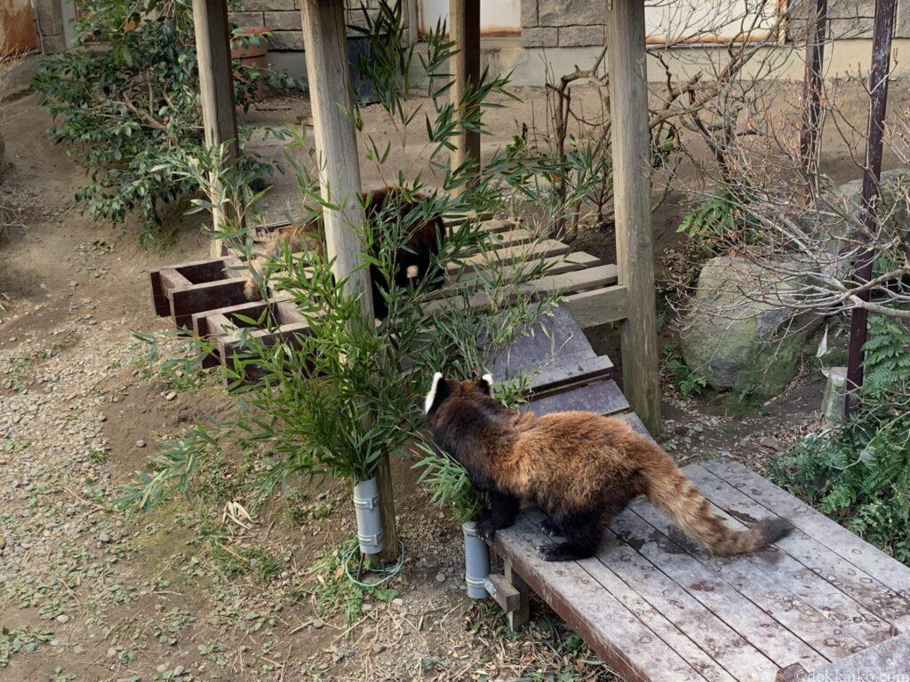 浜松市動物園