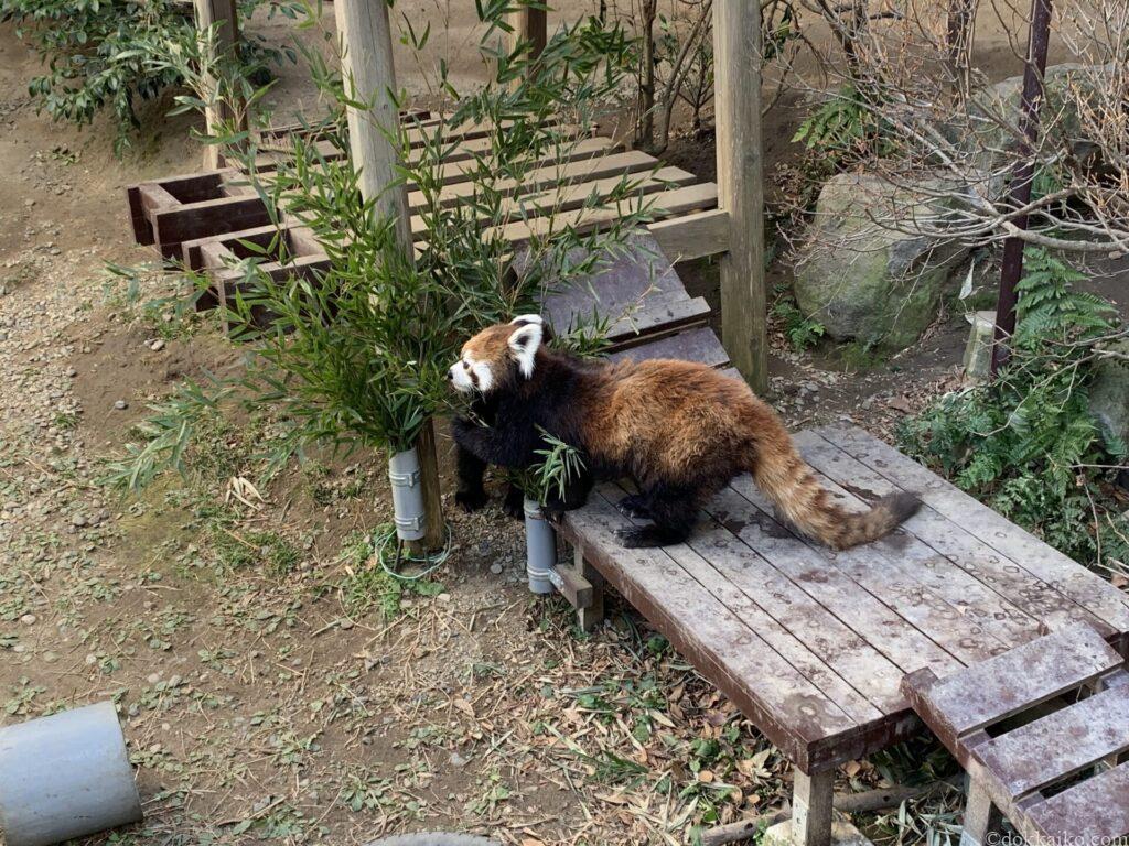 浜松市動物園