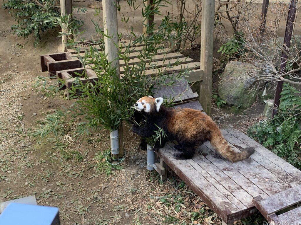 浜松市動物園