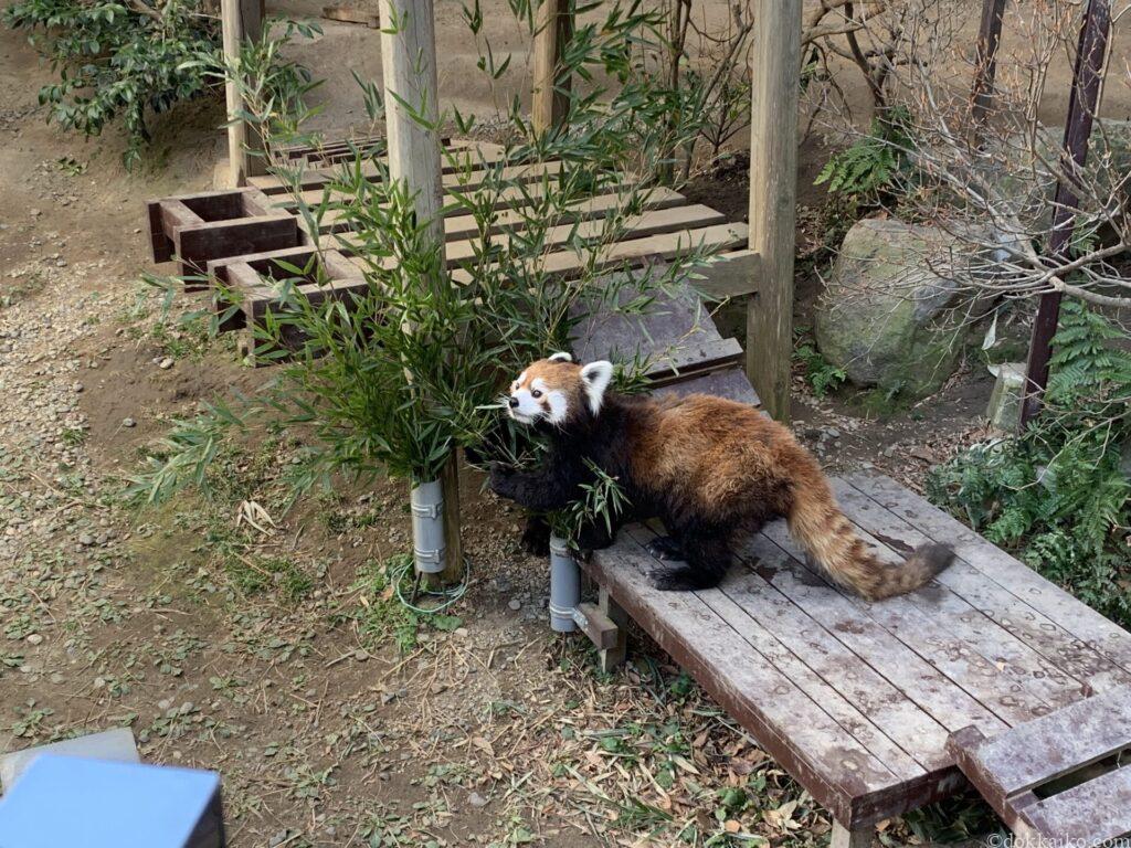 浜松市動物園