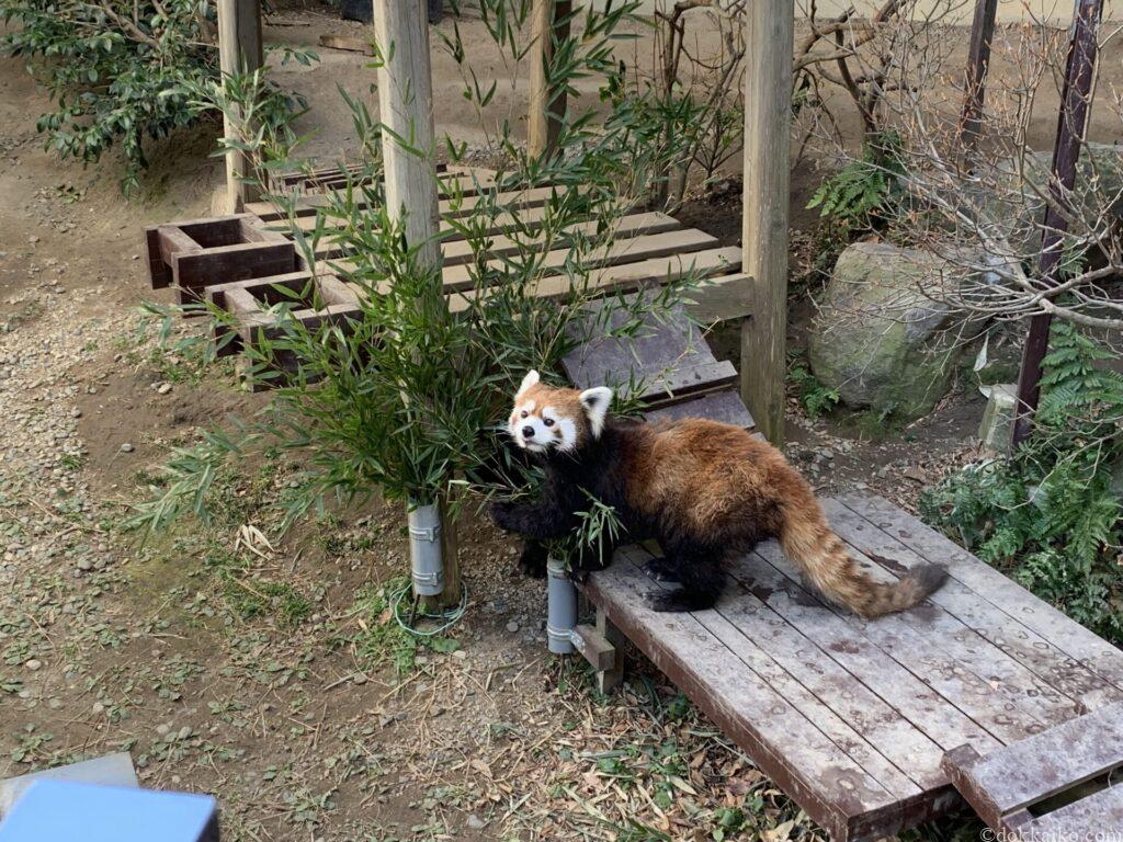 浜松市動物園