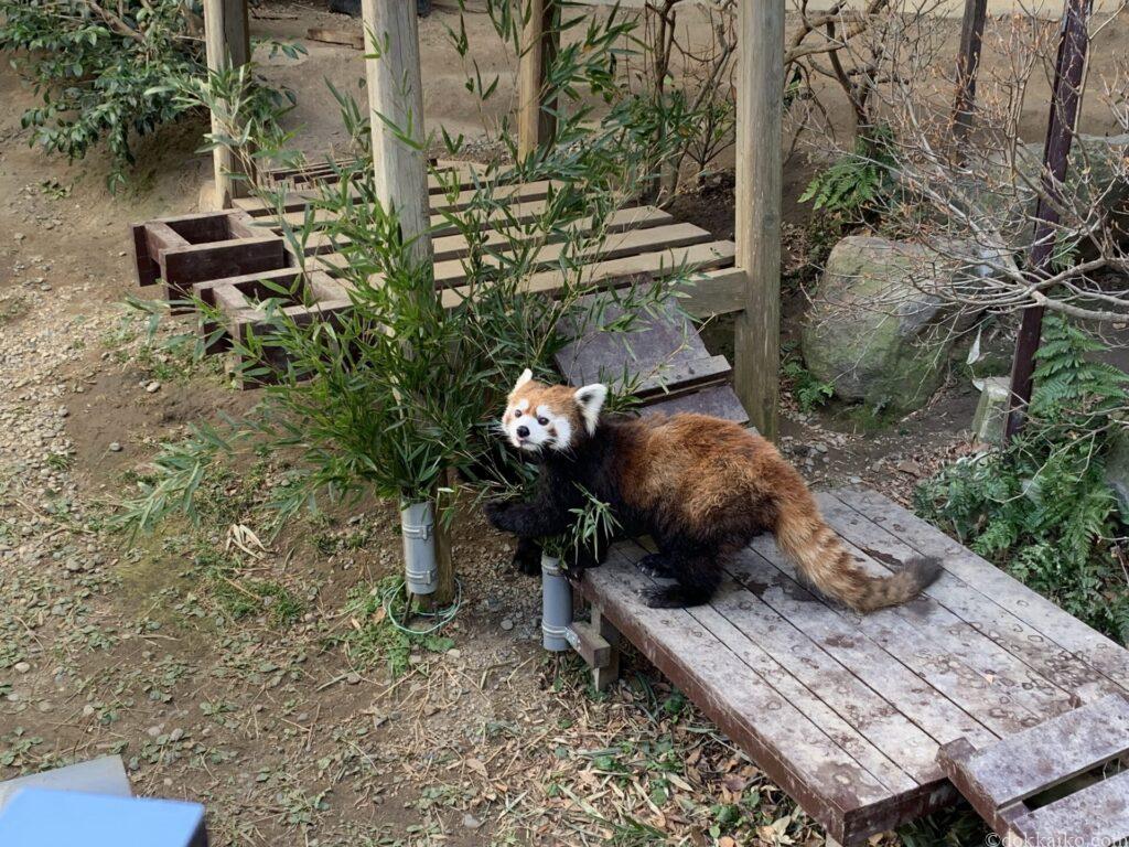 浜松市動物園