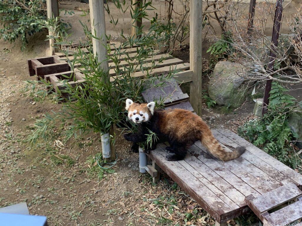 浜松市動物園