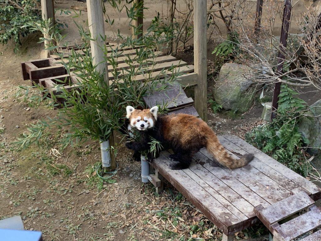 浜松市動物園