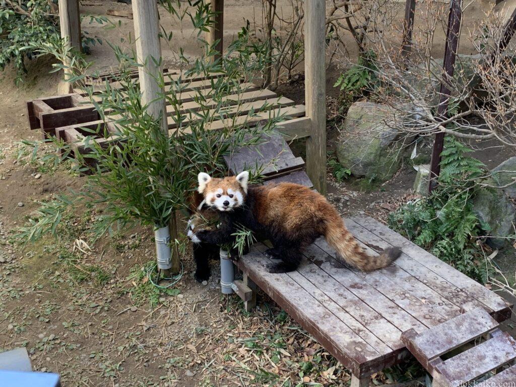 浜松市動物園
