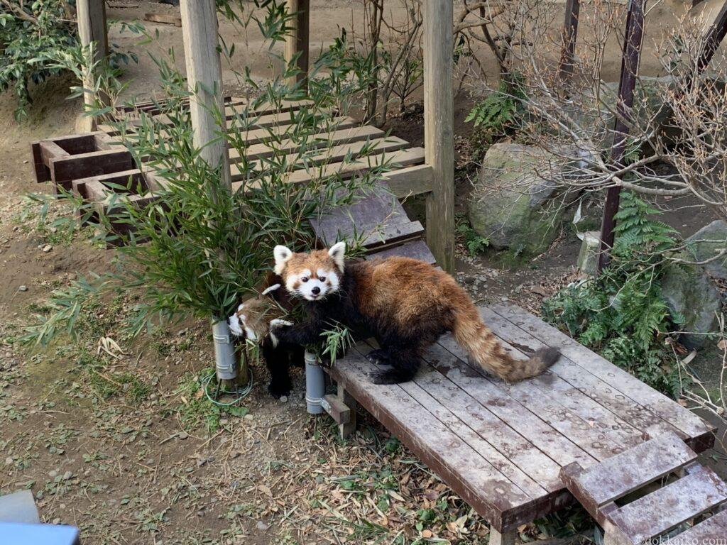 浜松市動物園