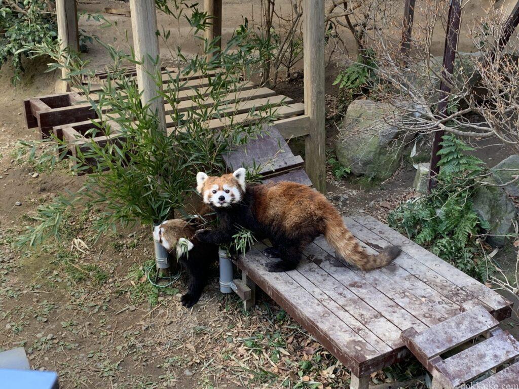 浜松市動物園