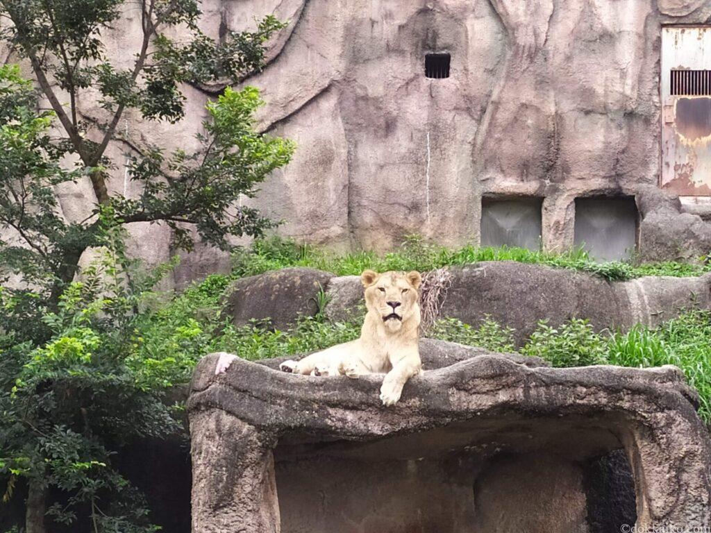 浜松市動物園