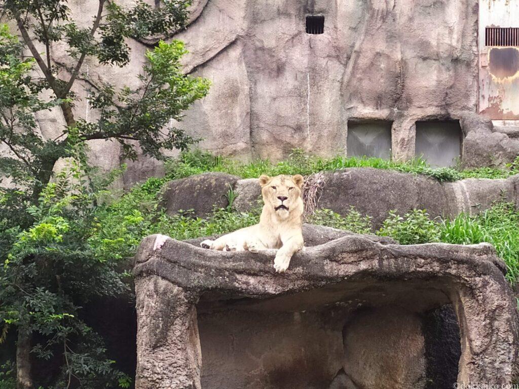 浜松市動物園