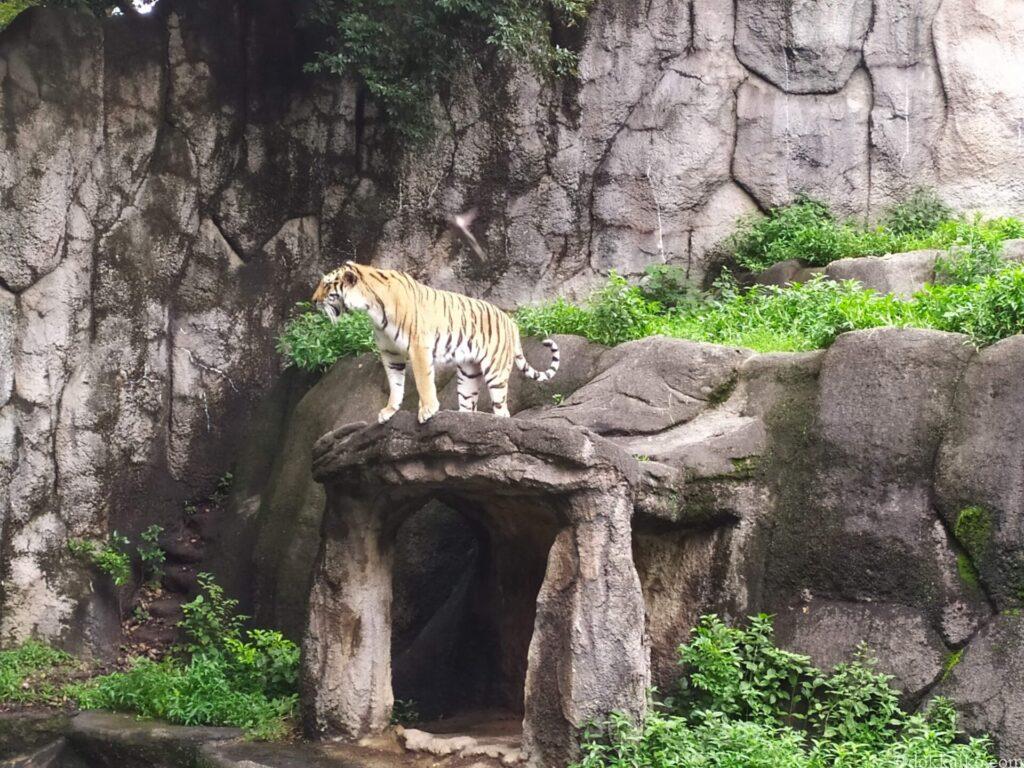 浜松市動物園