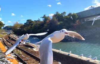 天竜浜名湖鉄道・佐久米駅