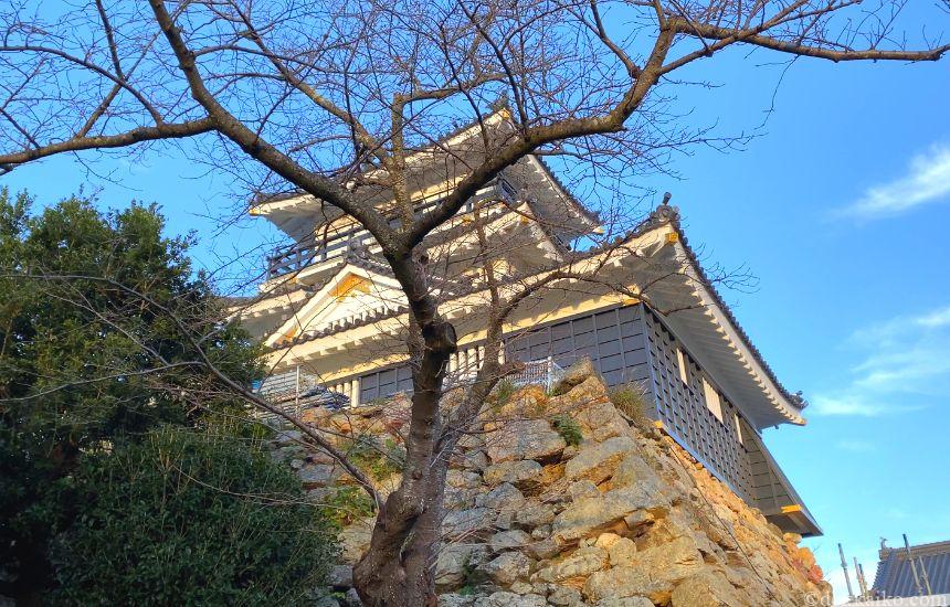 浜松城・浜松城公園