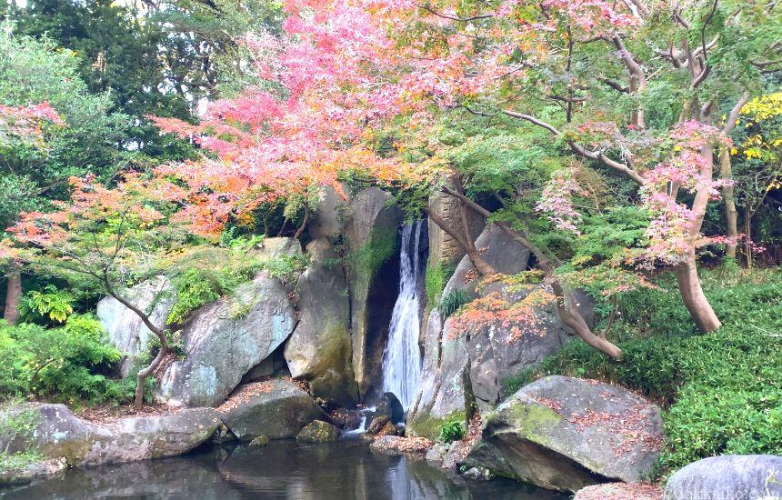 浜松城・浜松城公園