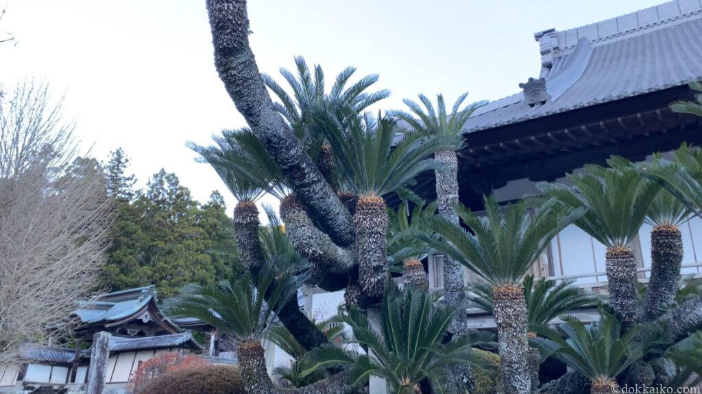 方広寺・奥山半僧坊