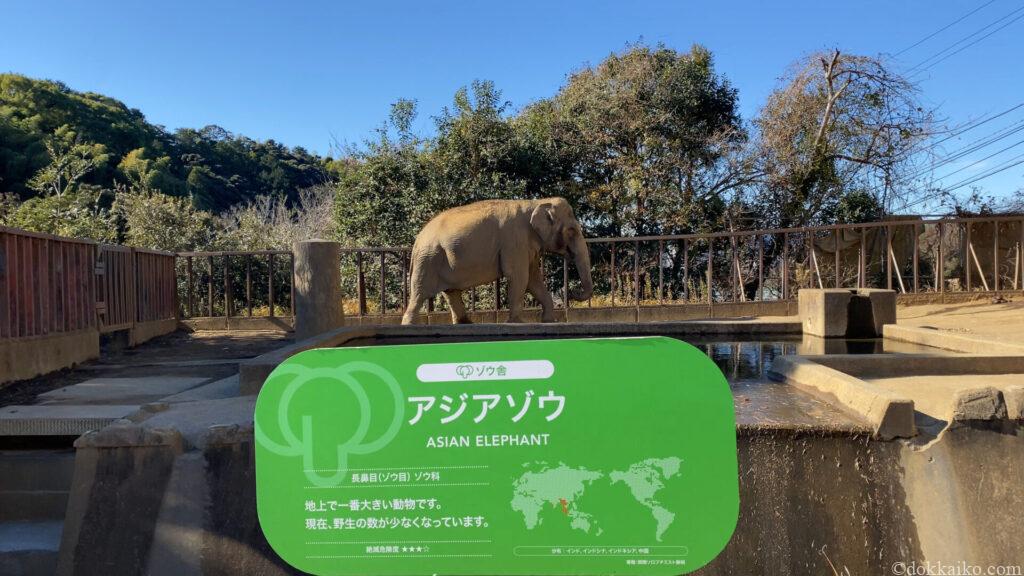 日本平動物園