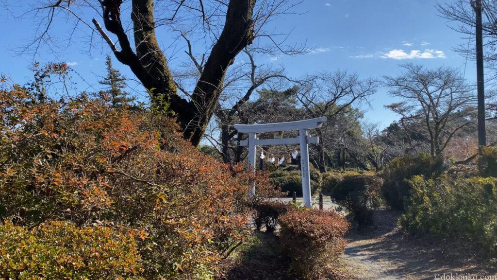 つつじ公園