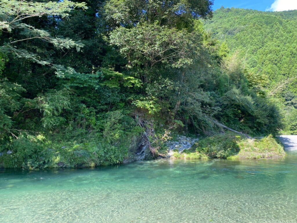 阿多古川で家族と楽しむ川遊びとバーベキュー – 静岡県浜松市の自然スポット - どっかいこ.com