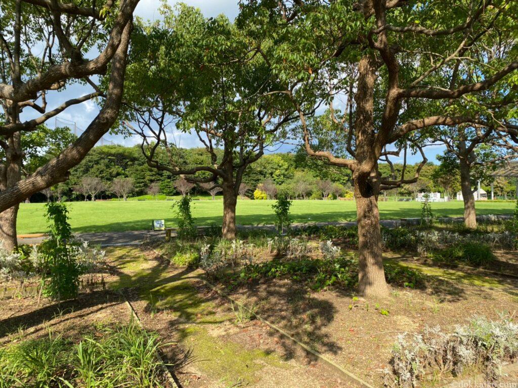 浜名湖ガーデンパーク