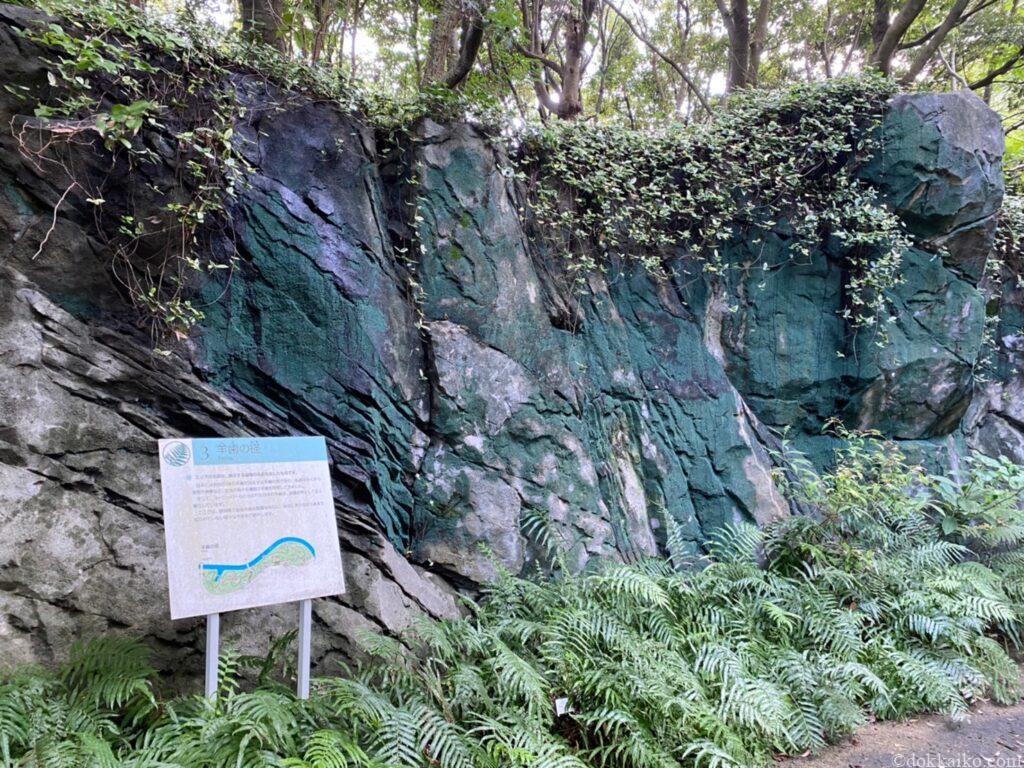 浜名湖ガーデンパーク