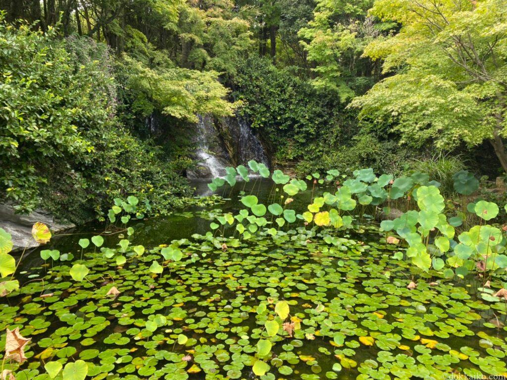 浜名湖ガーデンパーク