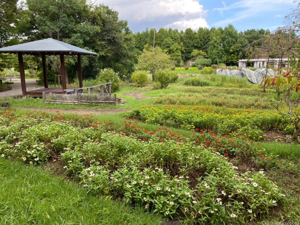 浜名湖ガーデンパーク