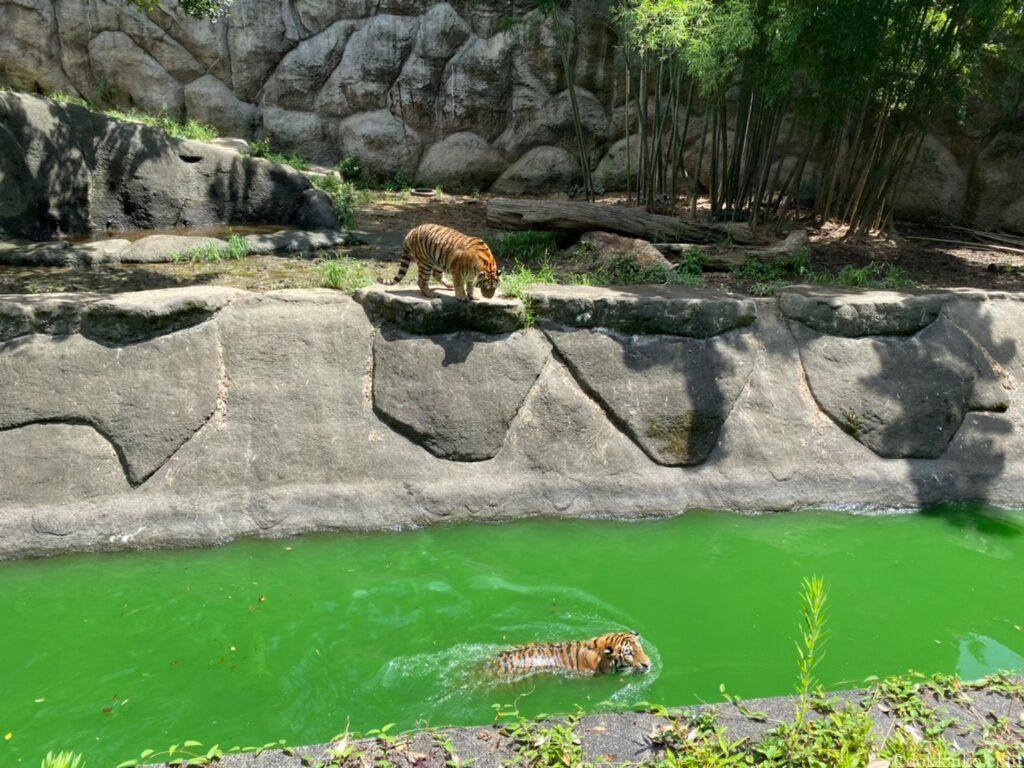 浜松市動物園