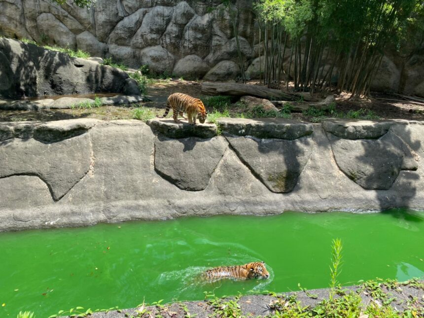 大人も子供もみんな大好き】浜松市動物園（静岡県浜松市