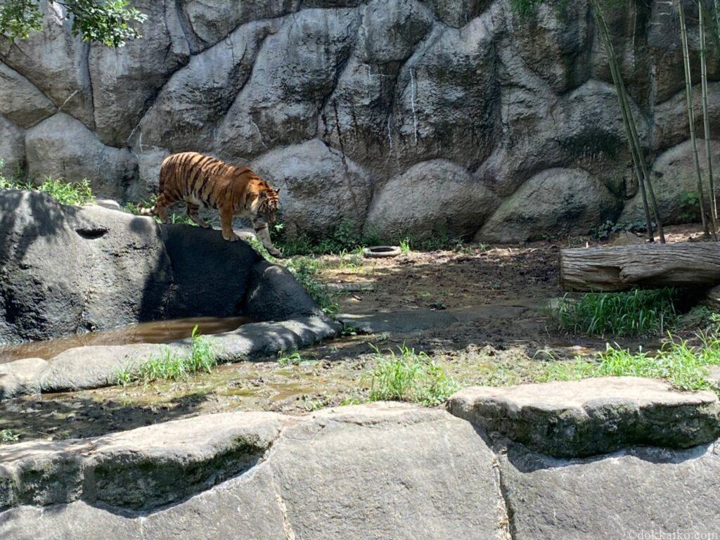 浜松市動物園