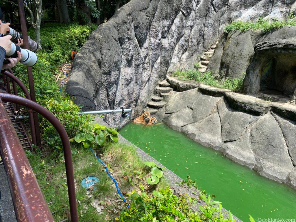 浜松市動物園