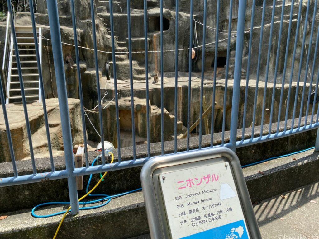 浜松市動物園