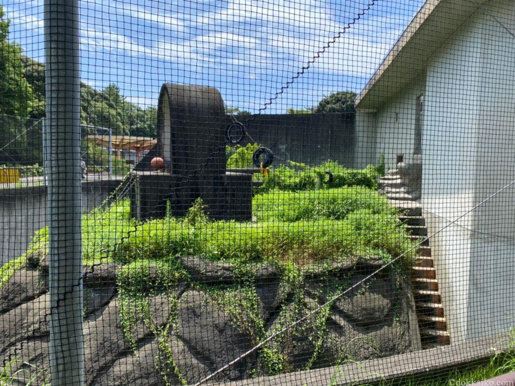 浜松市動物園