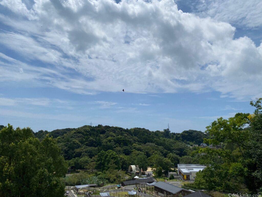 浜松市動物園