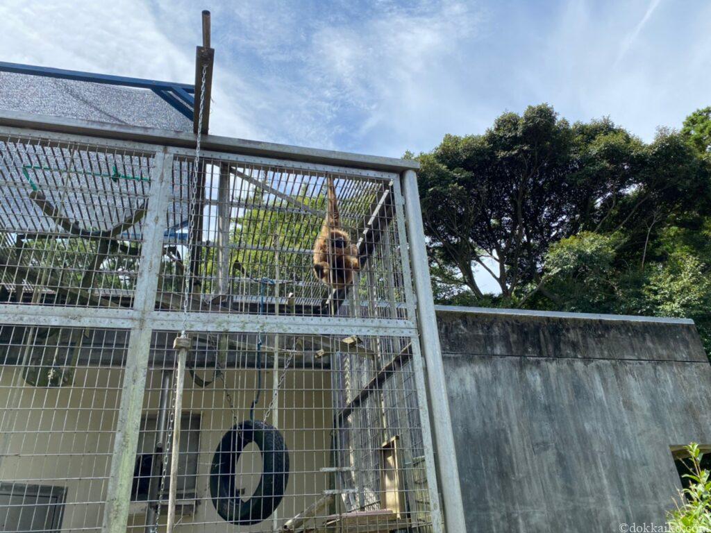 浜松市動物園