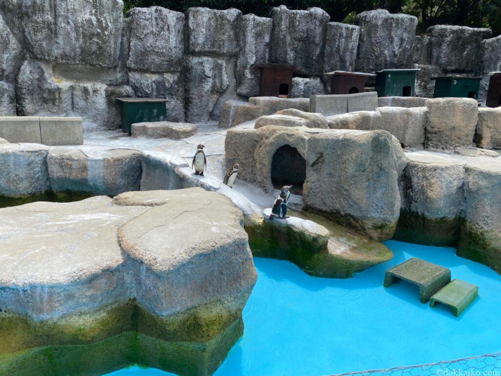 浜松市動物園