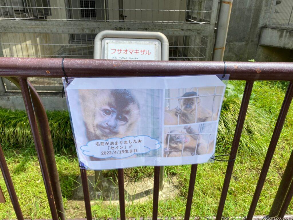 浜松市動物園