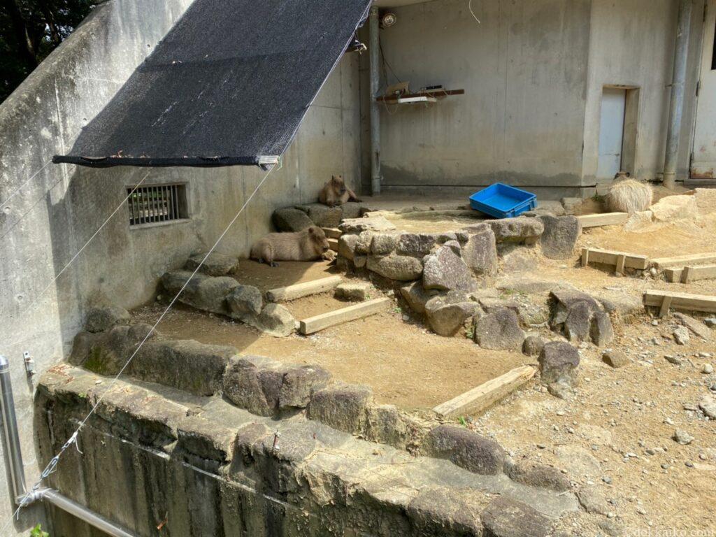 浜松市動物園