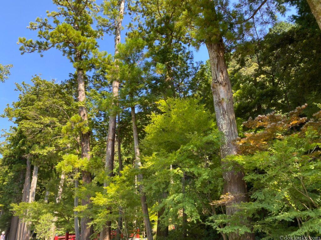 法多山・尊永寺