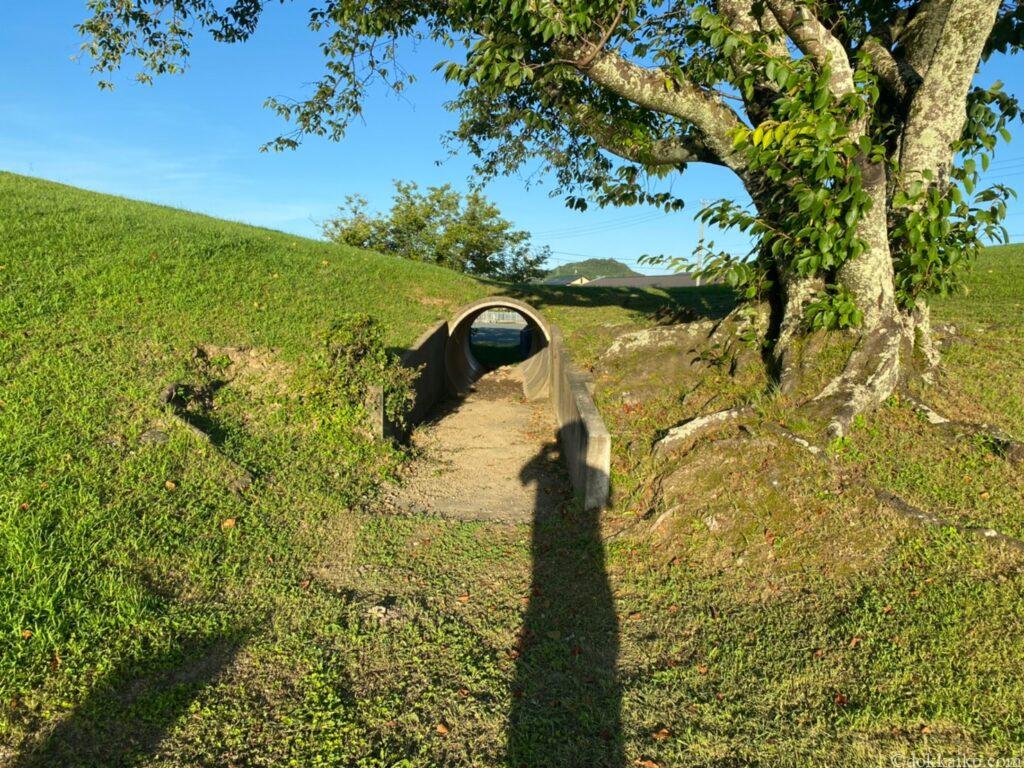 豊田児童遊園