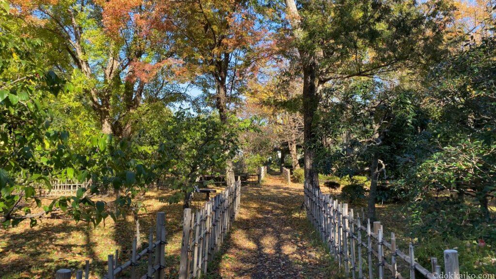 みどりーな・紅葉