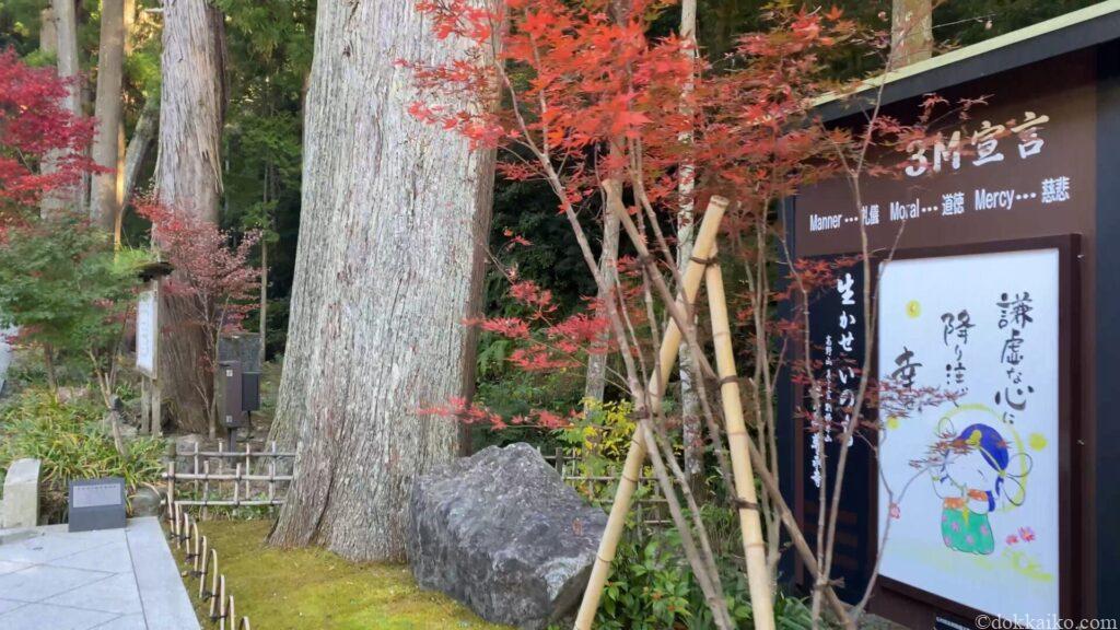 法多山・もみじまつり