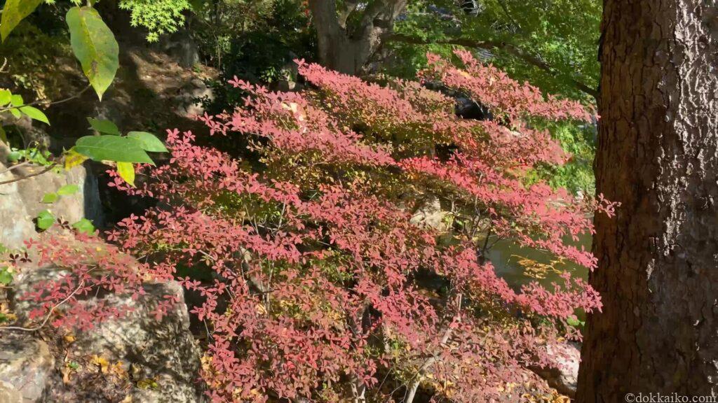 法多山・もみじまつり