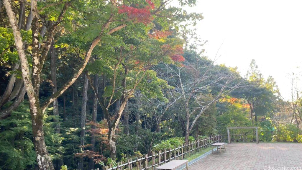 法多山・もみじまつり
